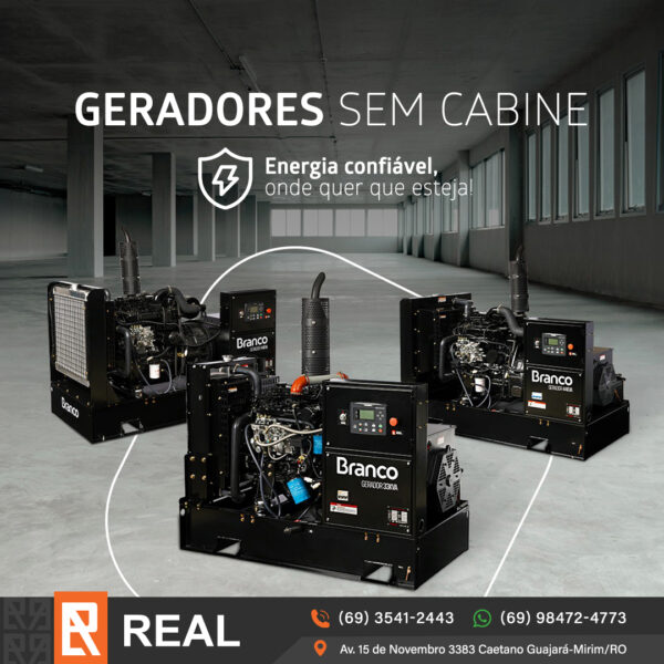 Gerador Descabinado BD 44000 E3 Branco