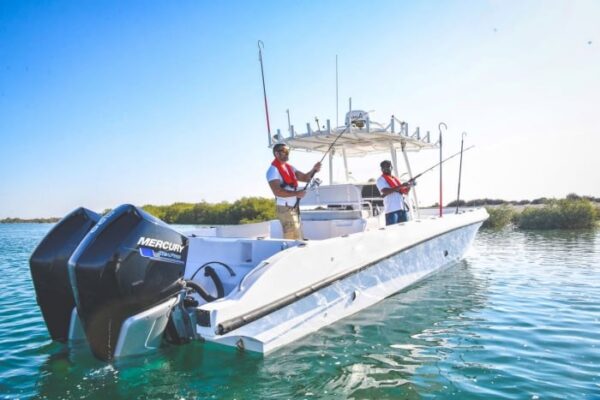 Motor de popa SeaPro 200HP Mercury