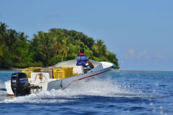 Motor de popa SeaPro 60HP Mercury